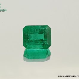 Emeralds – 2.69 cts.